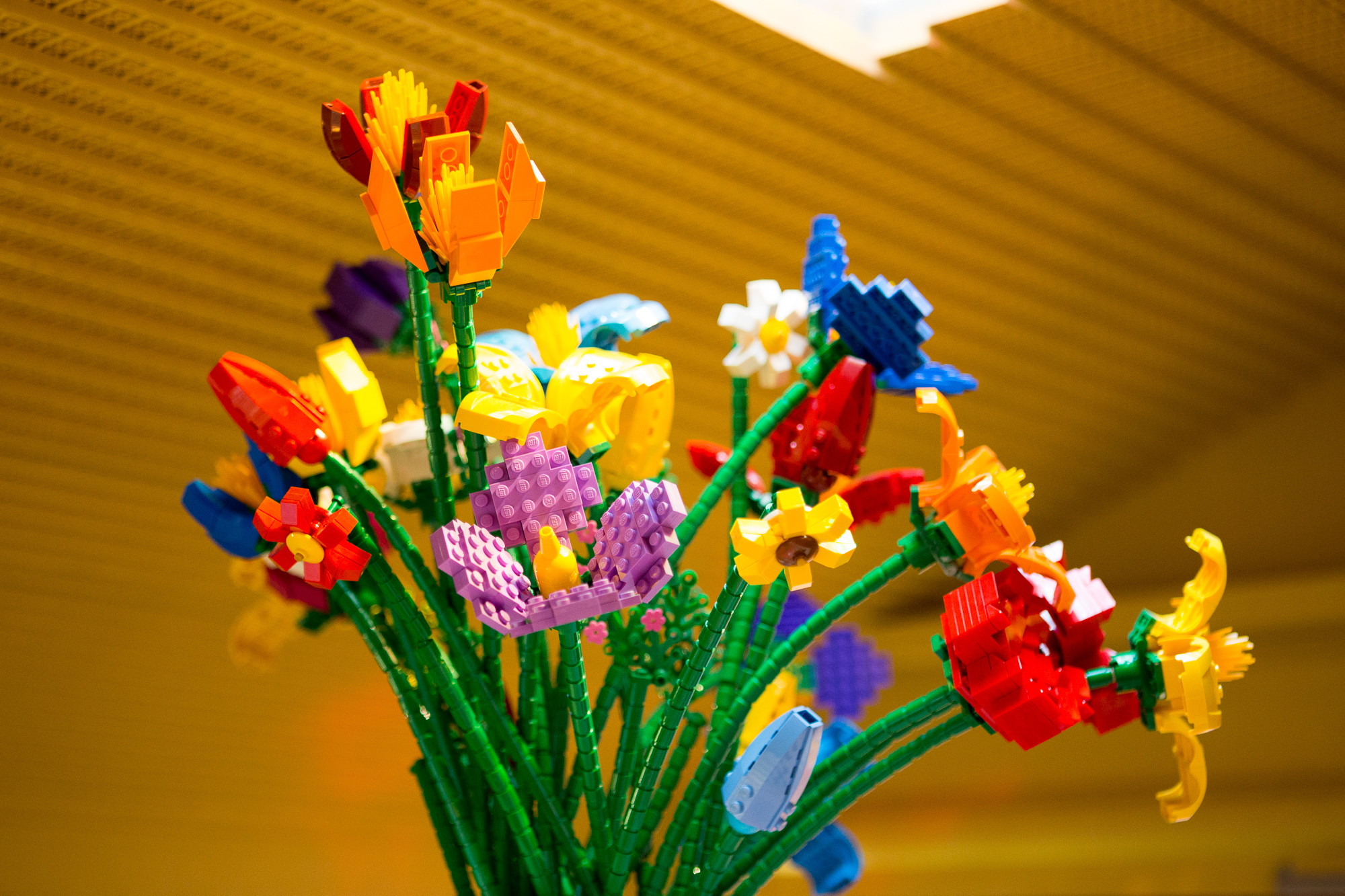 Image Carousel Slide 7